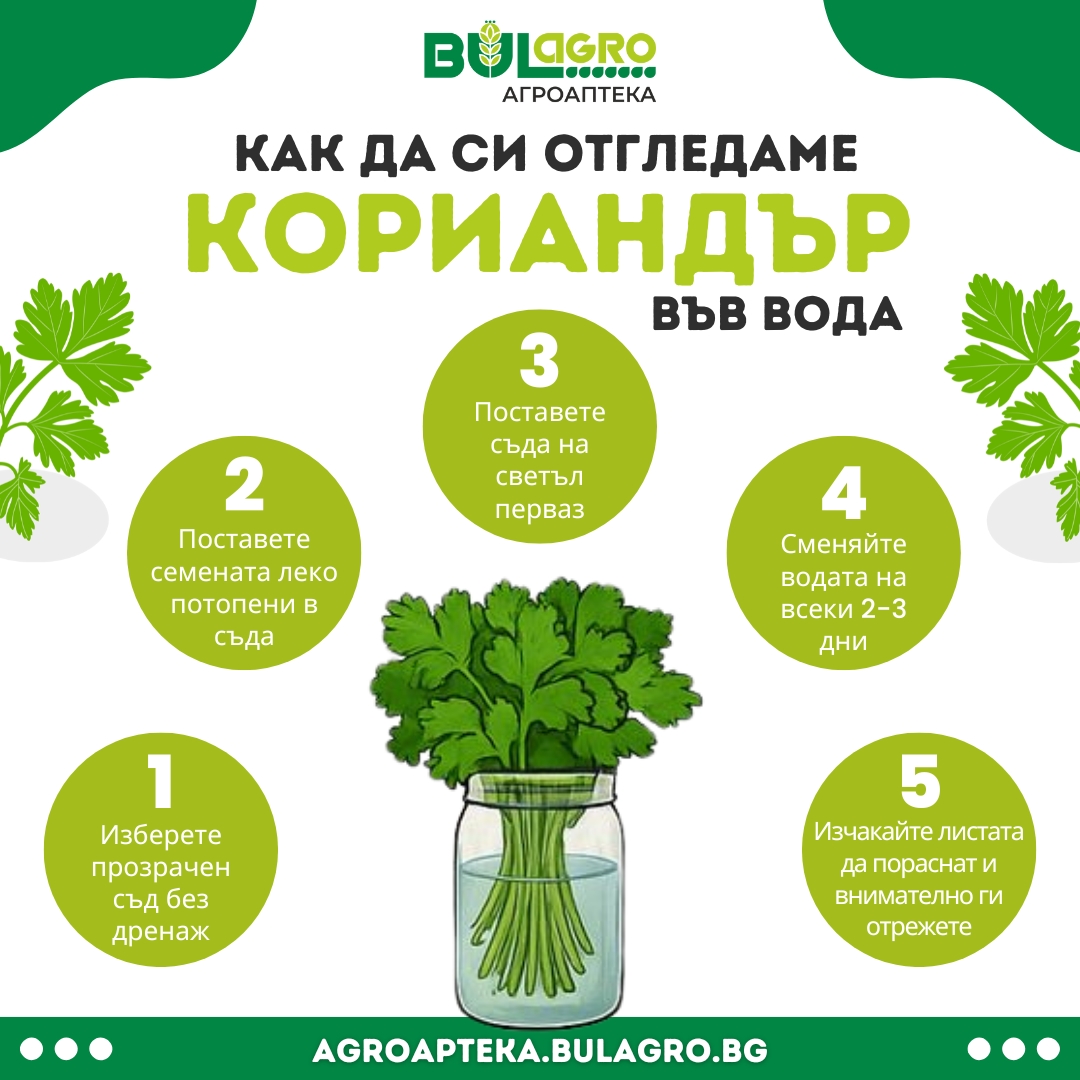 Стъпки