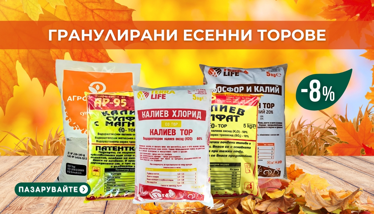 tablet accent banner 9