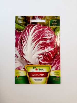 Цикория обла 3гр Флориян