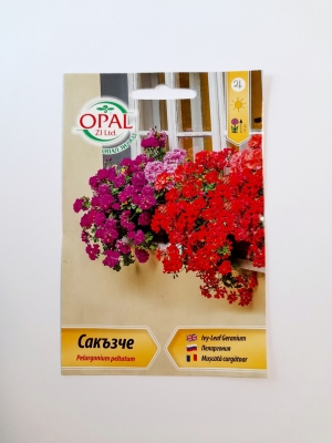 Сакъзче (Пеларгониум )
