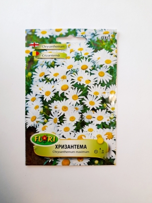 Хризантема Силвър Принцес