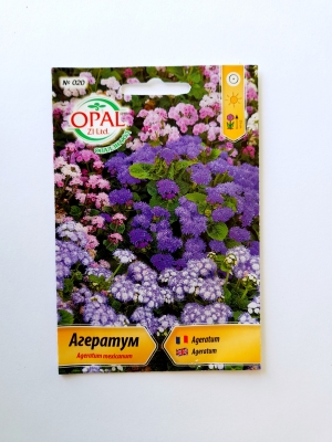 Агератум 