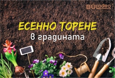 Есенно торене в градината