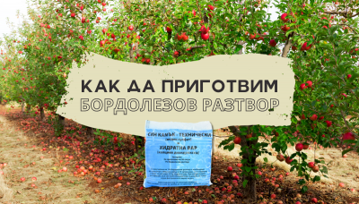 Как да приготвим бордолезов разтвор
