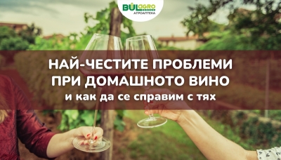 Най-честите проблеми при домашното вино и как да се справим с тях