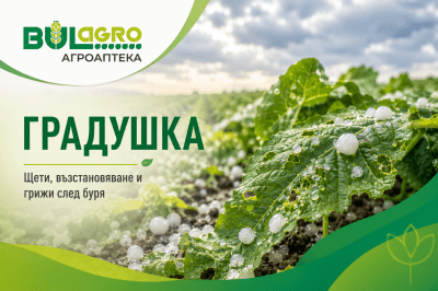 Градушка