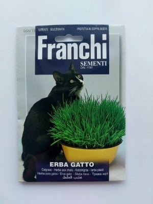 Котешка трева - много предпочитана и полезна за развитието на вашите котки