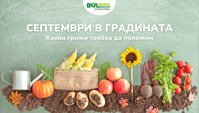 Грижи в градината през септември