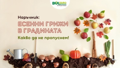 Наръчник: Есенни грижи в градината - Какво да не пропуснем