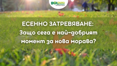 Есенно затревяване: Защо сега е най-добрият момент за нова морава?