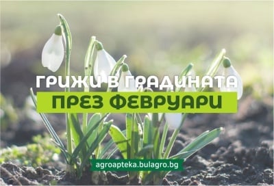 Грижи в градината през месец февруари