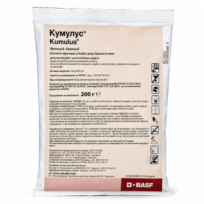 Кумулус