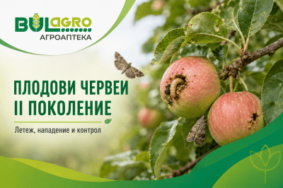 Второто поколение на плодовите червеи е още по-опасно!