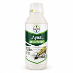 Луна Експирийанс