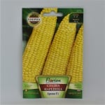 Сладка царевица Ерика F1 -  за консервиране, замразяване и прясно